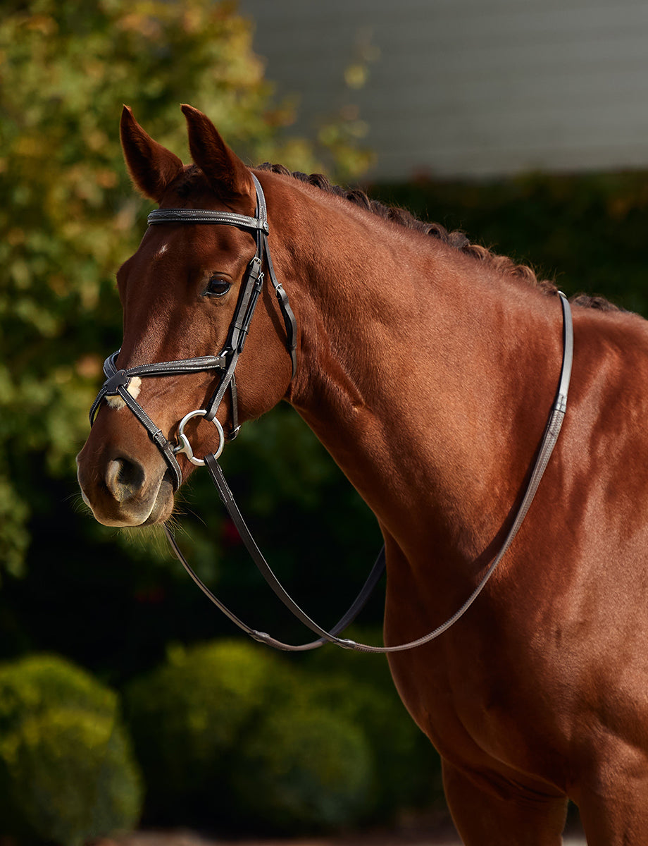 Dublin Padded Mono Crown Fancy Stitch Grackle Bridle