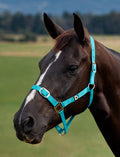 Dublin Everyday Headcollar