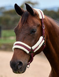 Dublin Soft Fit Headcollar