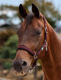 Dublin Neo Comfort Headcollar