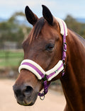 Dublin Soft Fit Headcollar