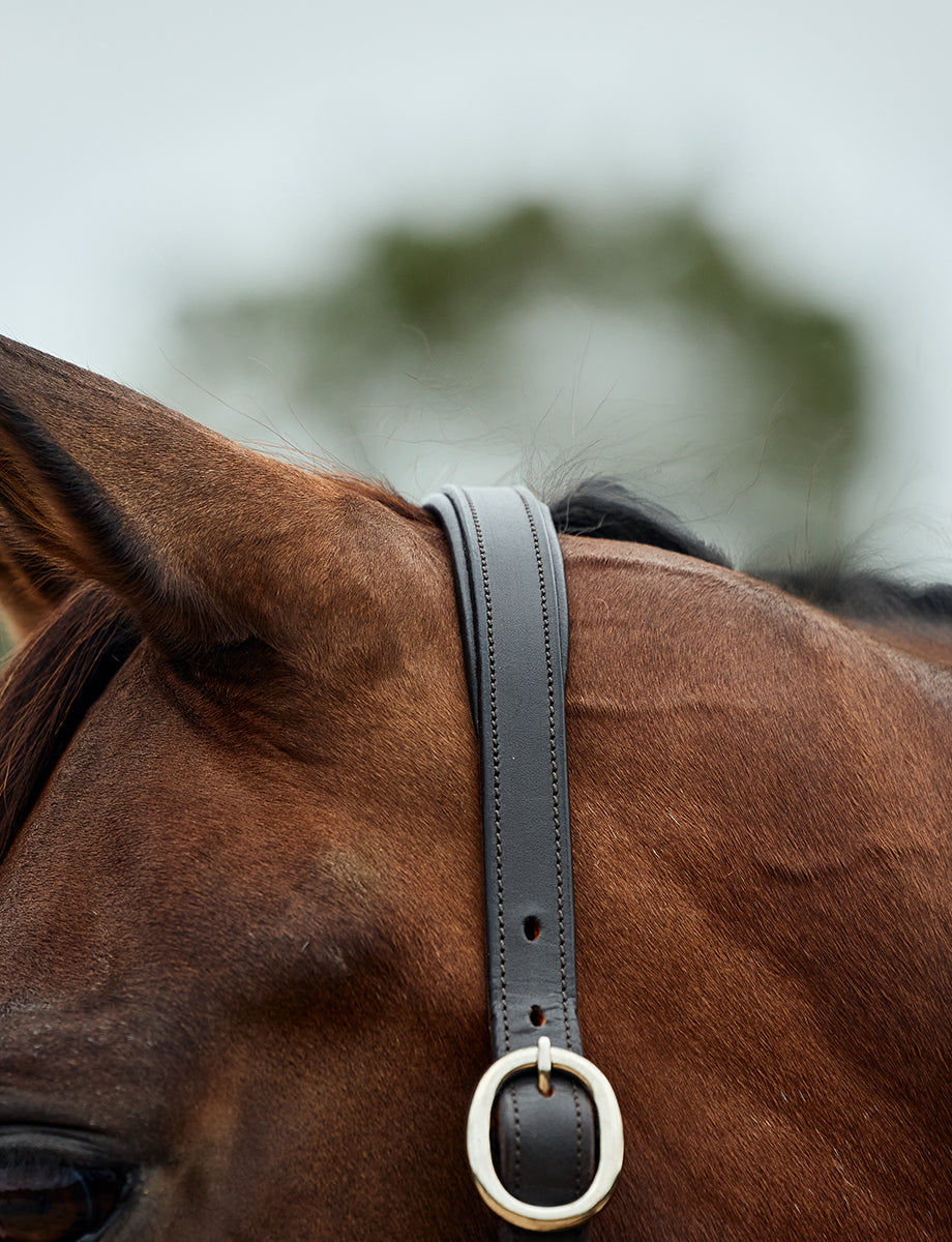 Dublin Leather Rope Headcollar