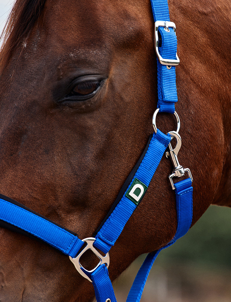 Dublin Neo Comfort Headcollar