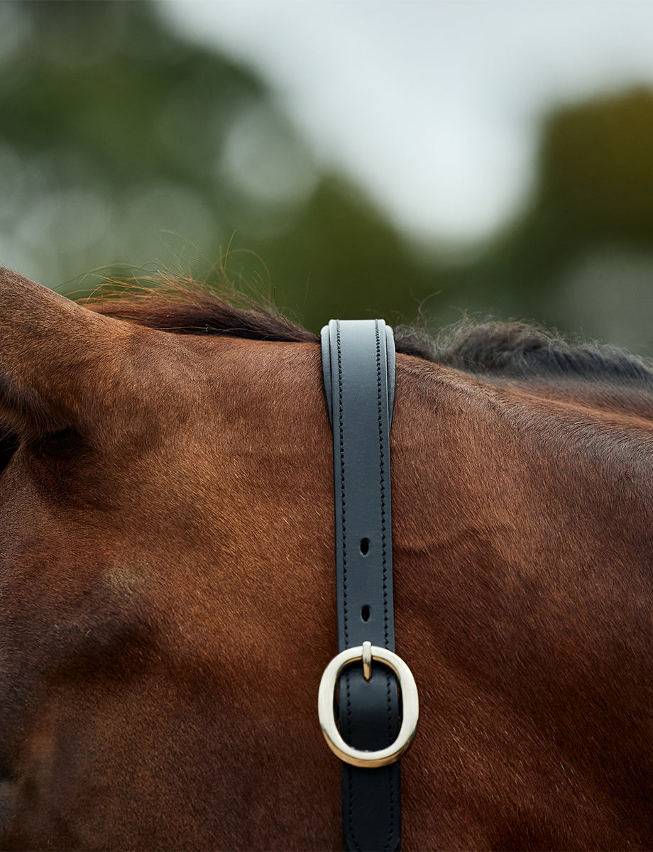 Dublin Leather Rope Headcollar