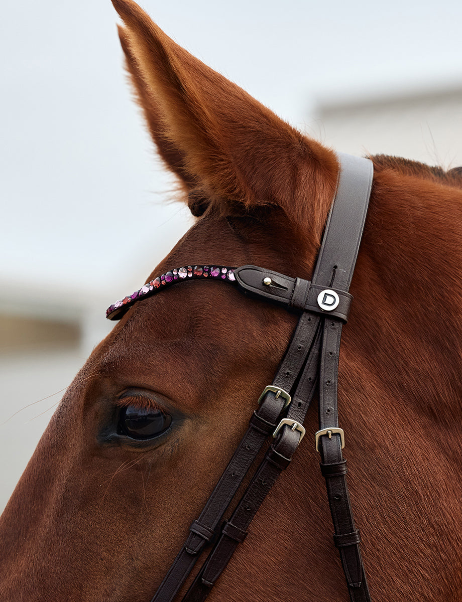 Dublin Ombre Diamante Browband