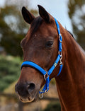 Dublin Neo Comfort Headcollar