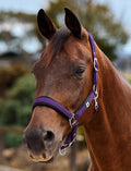 Dublin Neo Comfort Headcollar