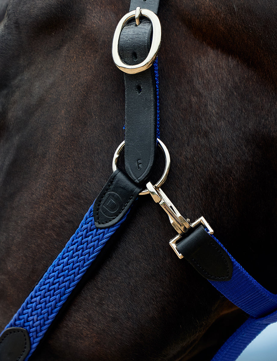 Dublin Braided Leather Headcollar