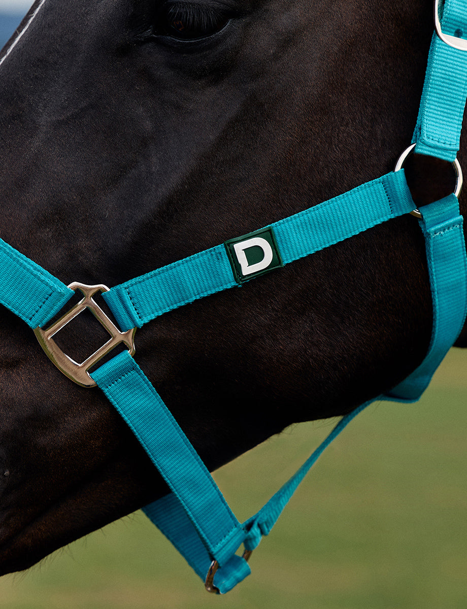Dublin Everyday Headcollar