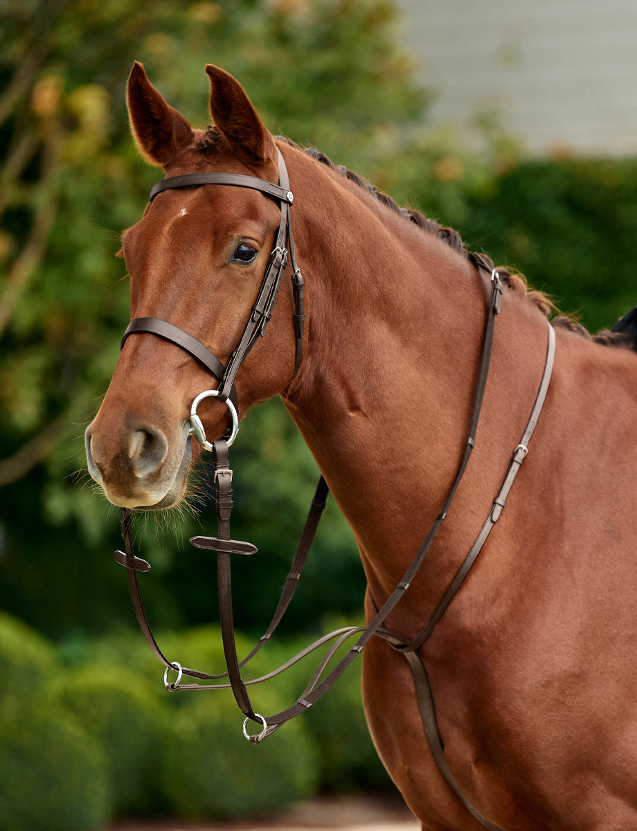 Dublin Running Martingale
