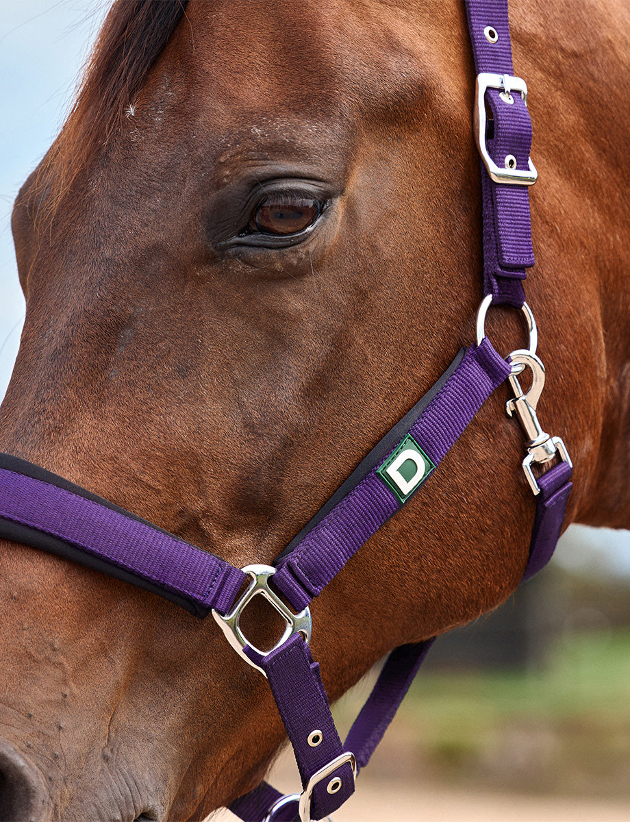 Dublin Neo Comfort Headcollar