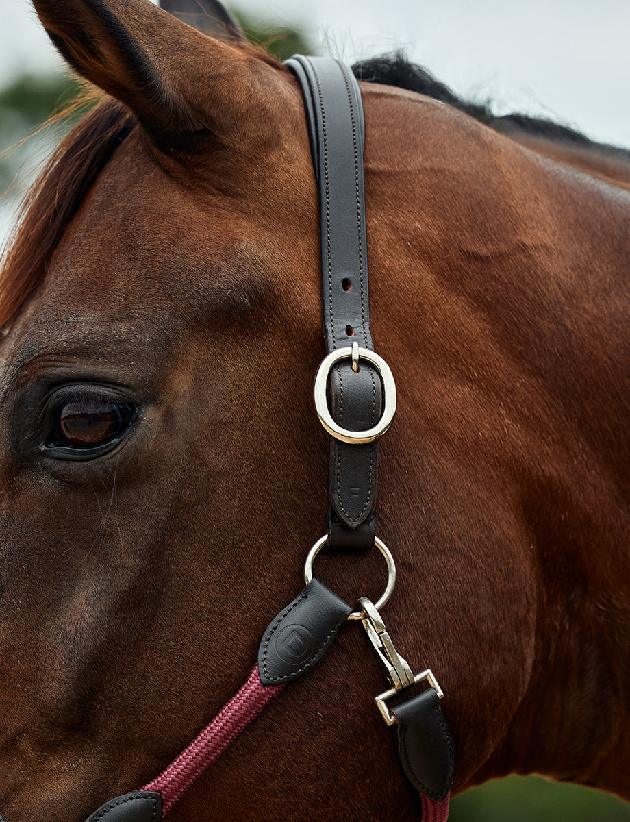 Dublin Leather Rope Headcollar
