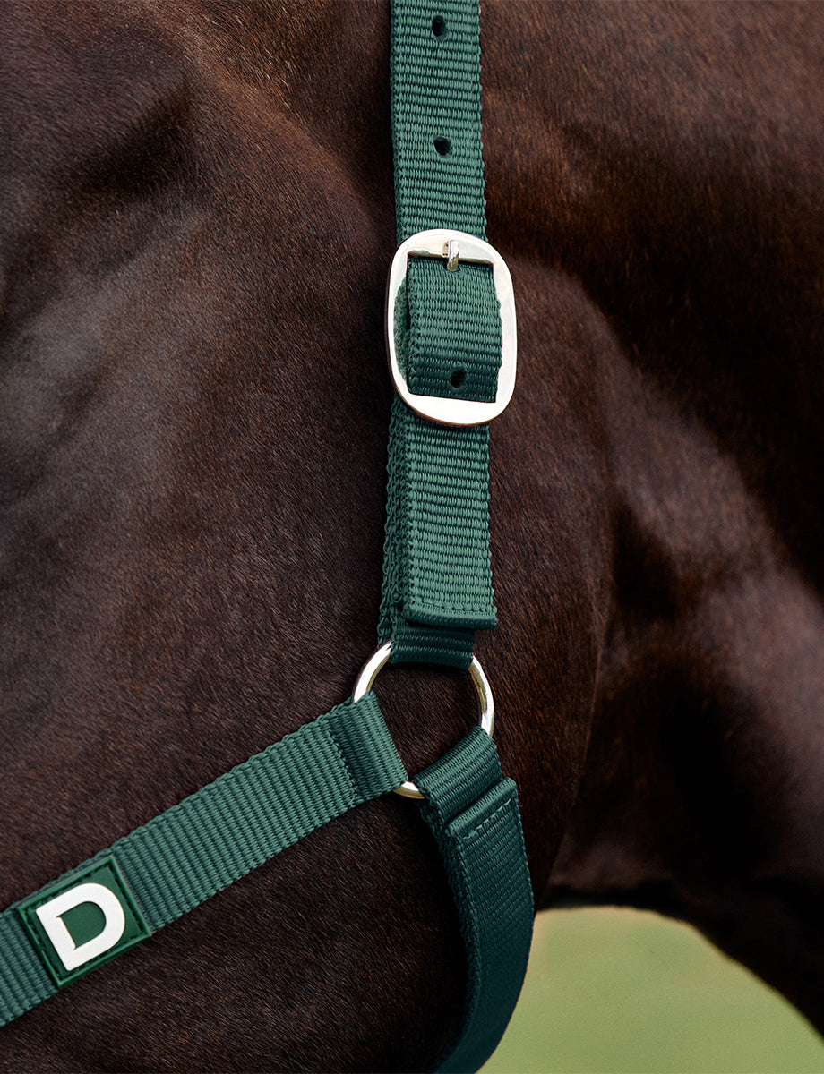 Dublin Everyday Headcollar